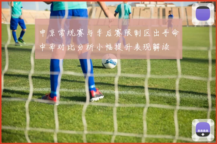申京常规赛与季后赛限制区出手命中率对比分析小幅提升表现解读